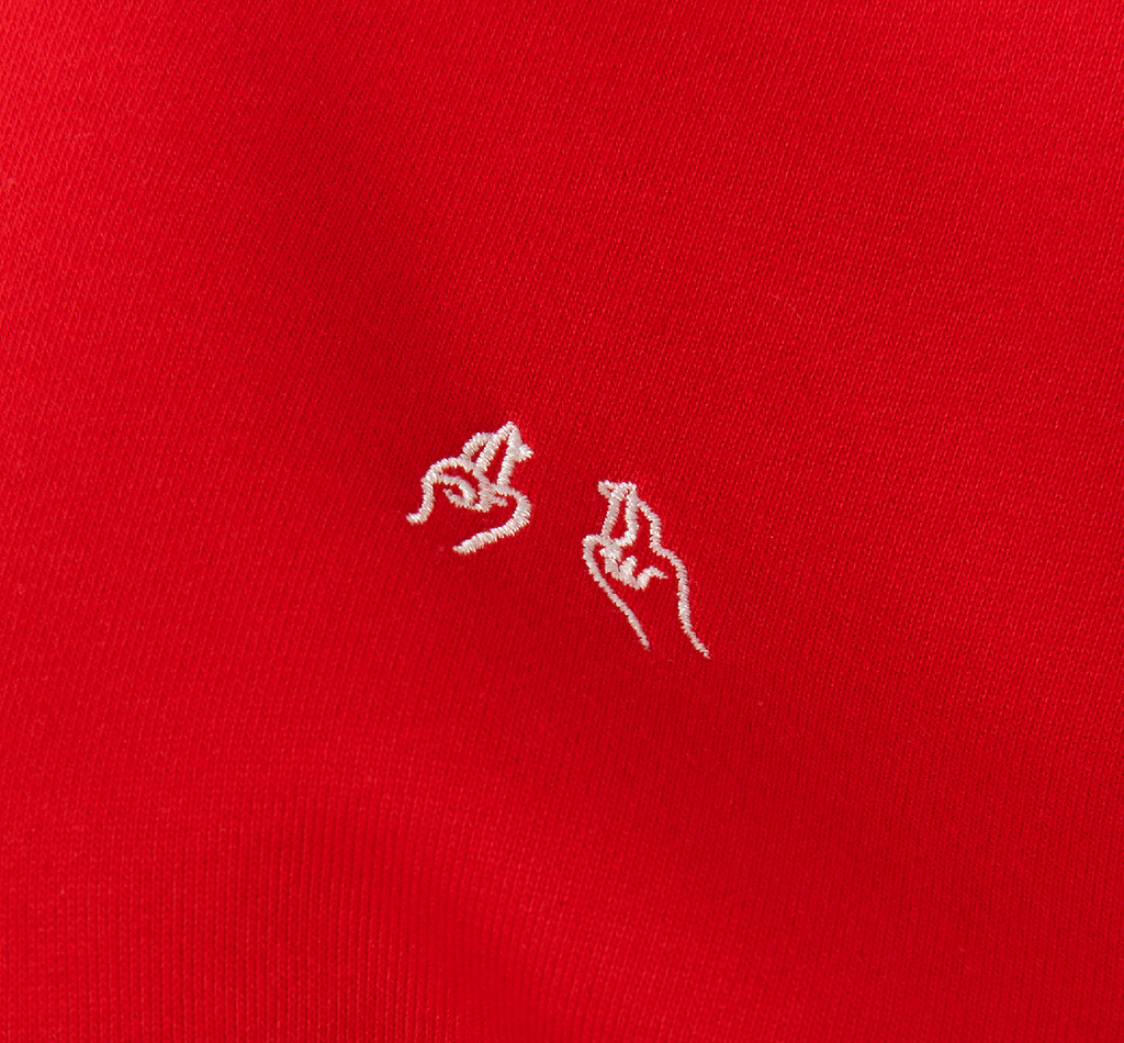 Hand Embroidered red sweatshirt